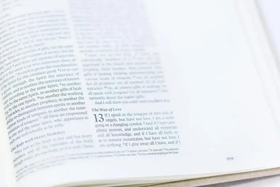 Artículos en inglés: diferencia entre “a”, “an” y “the”