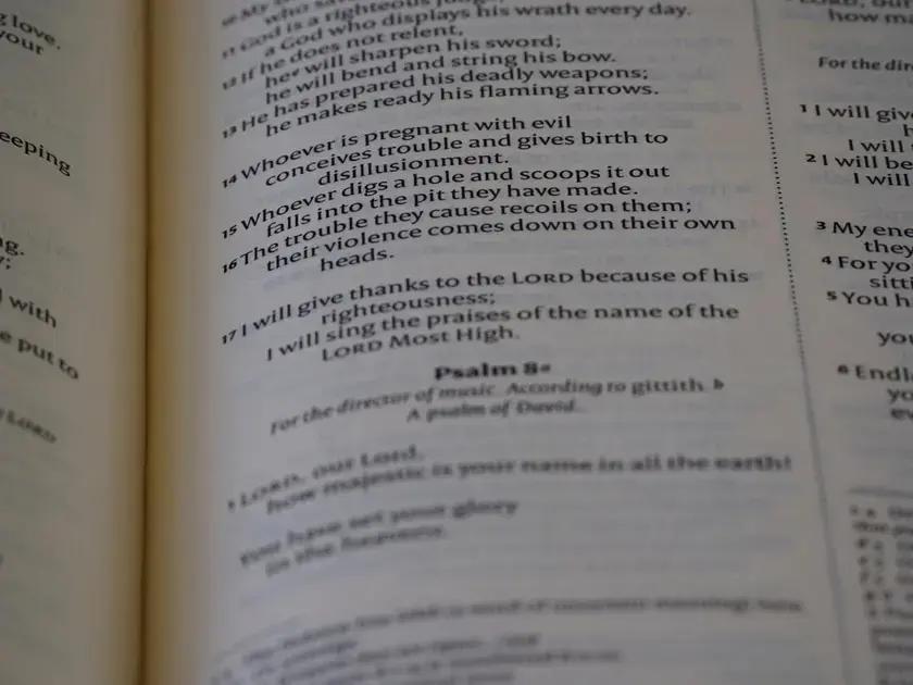 ejemplos de phrasal verbs comunes ejemplos de phrasal verbs comunes