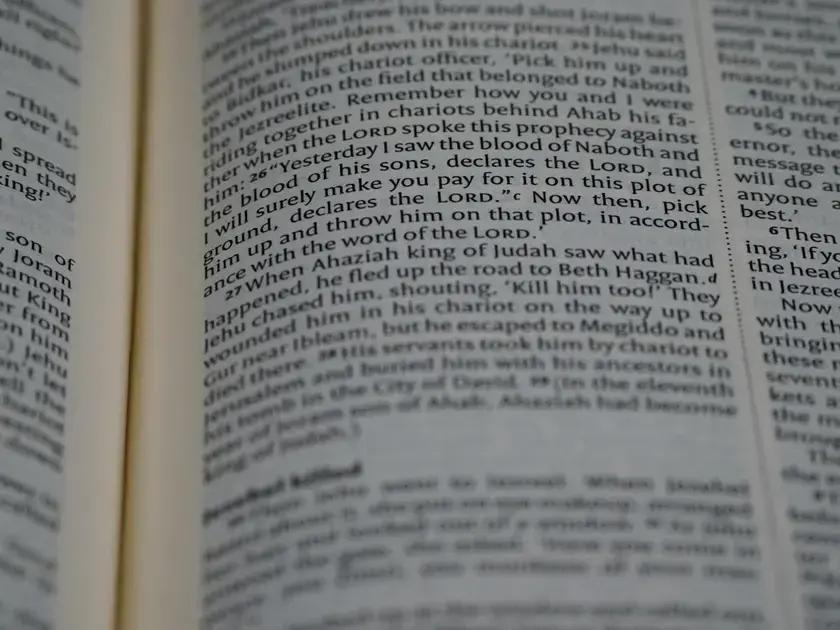 Palabras que cambian significado con una letra (e.g., “lose” vs “loose”)