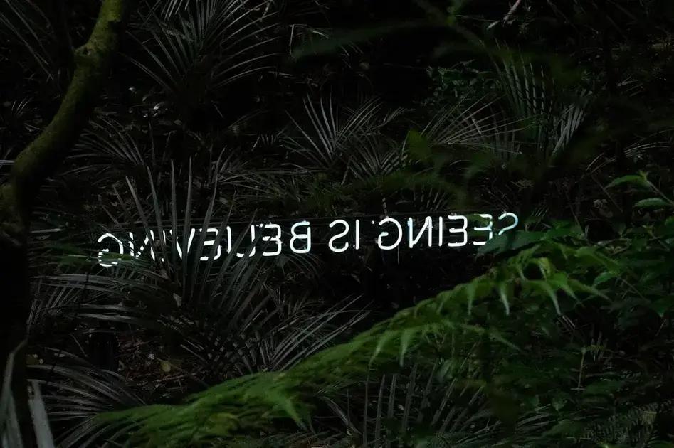 Traducciones curiosas: lo que no significa lo que parece en las películas